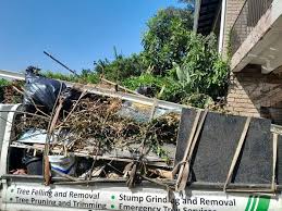 Best Basement Cleanout  in Port Neches, TX